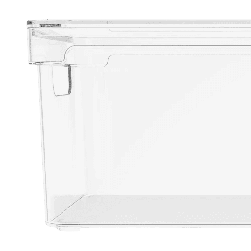 Organizador Clear com Tampa 30x15x13cm