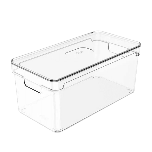Organizador Clear com Tampa 30x15x13cm