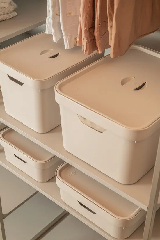 Organização