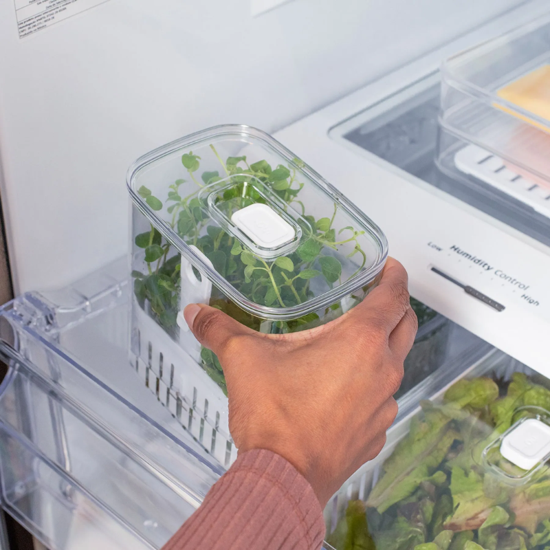 Organizador de Temperos Clear Fresh 1,5L