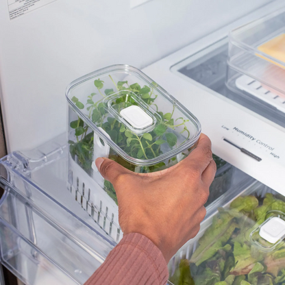 Organizador de Temperos Clear Fresh 1,5L